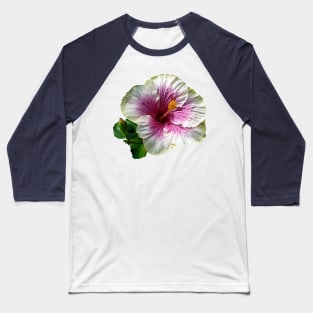 Hibiscus - Hibiscus Candy Striper Baseball T-Shirt